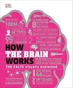 Bild des Verkufers fr How the Brain Works zum Verkauf von moluna