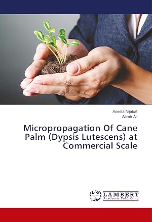 Bild des Verkufers fr Micropropagation Of Cane Palm (Dypsis Lutescens) at Commercial Scale zum Verkauf von moluna