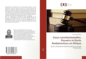 Immagine del venditore per Cours constitutionnelles, Pouvoirs et Droits fondamentaux en Afrique venduto da moluna