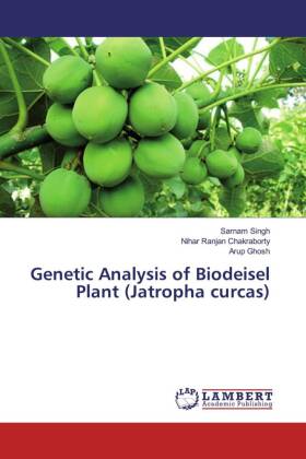 Seller image for Genetic Analysis of Biodeisel Plant (Jatropha curcas) for sale by moluna