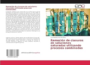 Seller image for Remocin de cianuros de soluciones saturadas utilizando procesos combinados for sale by moluna