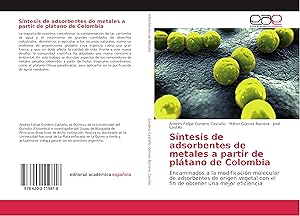 Seller image for Sntesis de adsorbentes de metales a partir de pltano de Colombia for sale by moluna
