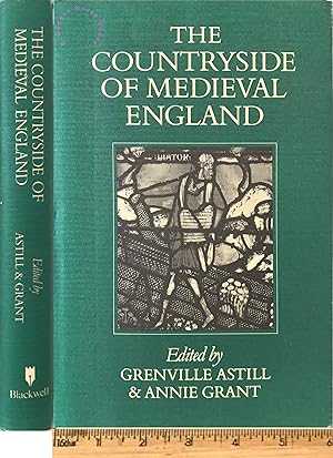 The countryside of medieval England