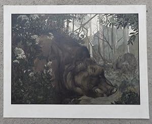 Seller image for Plate from Jungle Book portfolio; for sale by BOOKS & THINGS