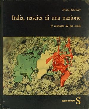 Seller image for Italia, nascita di una nazione. Il romanzo di un secolo for sale by FABRISLIBRIS