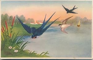Künstler Ansichtskarte / Postkarte Schwalben fliegen übers Wasser