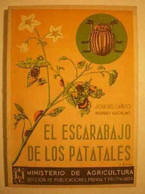 El escarabajo de los patatales