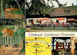 Bild des Verkufers fr Postkarte Carte Postale 73650860 Nittenau Wildpark Waldhaus Einsiedel Reh und Schwarzwild Nittenau zum Verkauf von Versandhandel Boeger