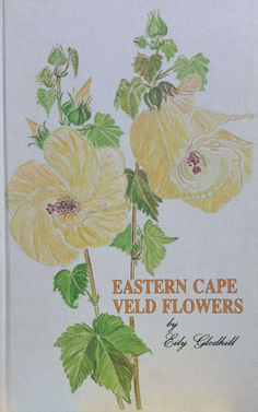 Eastern Cape Veld Flowers