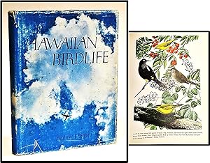 Bild des Verkufers fr Hawaiian Birdlife zum Verkauf von Blind-Horse-Books (ABAA- FABA)