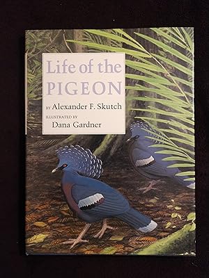 LIFE OF THE PIGEON