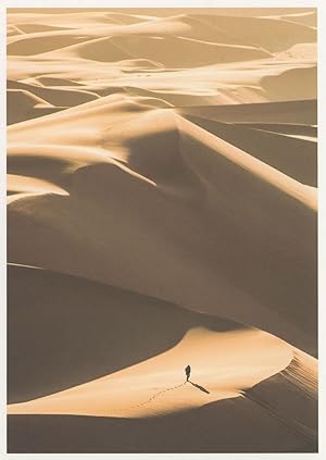 Immagine del venditore per Lost In Sand Dunes Desert Footprints Disaster Golden Sunset German Postcard venduto da Postcard Finder