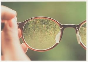 Mirror Spectacles Glasses Showing Dangerous Woods German Postcard
