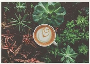 Tea Leaves Gypsy Style Coffee Cup With Leaf Milk Pattern Postcard