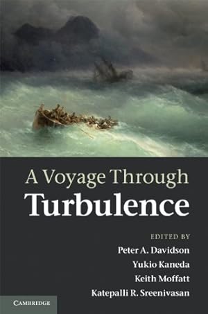 Immagine del venditore per A Voyage Through Turbulence [Paperback ] venduto da booksXpress