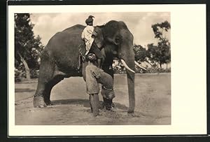 Bild des Verkufers fr Ansichtskarte Zhmung eines Elefanten in Ostindien zum Verkauf von Bartko-Reher