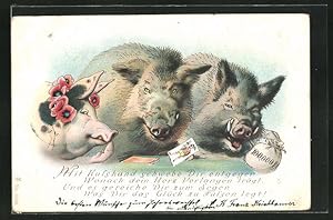 Ansichtskarte Schweine mit einem Kartenspiel und Geldsack