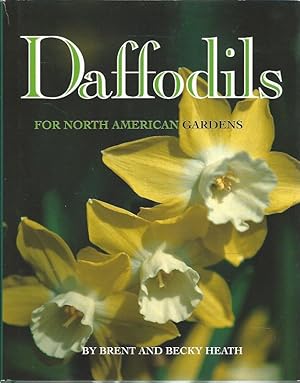 Daffodils for North American gardens.