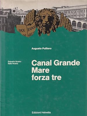 Bild des Verkufers fr Canal Grande Mare forza tre zum Verkauf von Librodifaccia