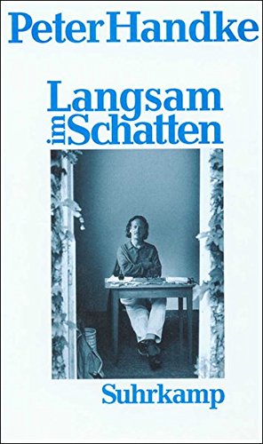 Seller image for Langsam im Schatten: Gesammelte Verzettelungen 1980-1992 for sale by Gabis Bcherlager