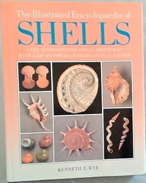 Bild des Verkufers fr The Illustrated Encyclopedia of Shells zum Verkauf von Chapter 1