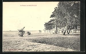 Carte postale Malzéville, La Plateau