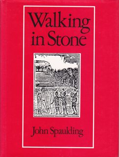 Walking in Stone (Wesleyan New Poets)