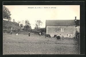 Carte postale Poigny, Vaches au pâturage