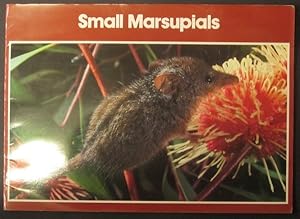 Seller image for Small Marsupials for sale by Goulds Book Arcade, Sydney