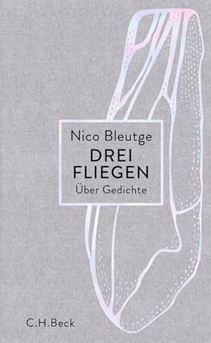 Imagen del vendedor de Drei Fliegen a la venta por BuchWeltWeit Ludwig Meier e.K.