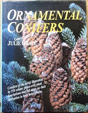 Ornamental Conifers