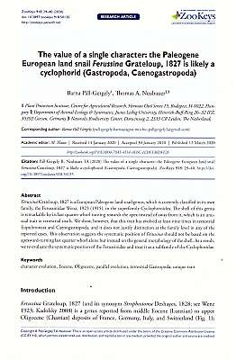 Seller image for The value of a single character: the Paleogene European land snail Ferussina Grateloup, 1827 is likely a cyclophorid (Gastropoda, Caenogastropoda) for sale by ConchBooks