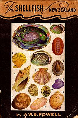 Bild des Verkufers fr The Shellfish of New Zealand. An Illustrated Handbook [2nd ed.] zum Verkauf von ConchBooks