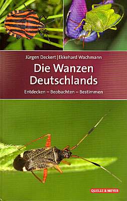 Imagen del vendedor de Die Wanzen Deutschlands. Entdecken - Beobachten - Bestimmen a la venta por ConchBooks