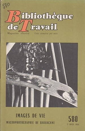 Images de vie. Macrophotographie de Barbacane. Avril 1964.