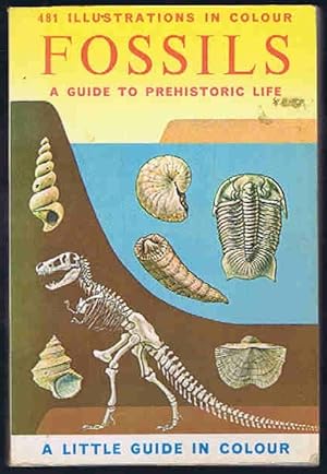 Image du vendeur pour Fossils: A Guide to Prehistoric Life mis en vente par Lazy Letters Books