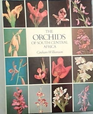 Bild des Verkufers fr The Orchids of South Central Africa zum Verkauf von Chapter 1