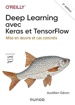deep learning avec Keras et Tensorflow ; mise en oeuvre et cas concrets (2e édition)