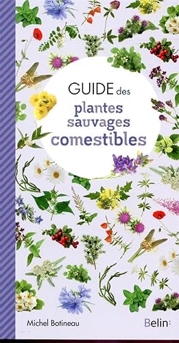 guide des plantes sauvages comestibles