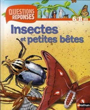 insectes et petites betes