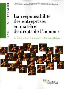 La responsabilité des entreprises en matière de droits de l'homme. 2. La responsabilité des entre...