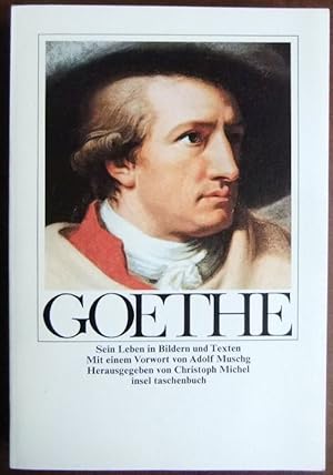 Bild des Verkufers fr Goethe : sein Leben in Bildern und Texten. Vorw. von Adolf Muschg. Hrsg. von Christoph Michel / Insel-Taschenbuch ; 1000 zum Verkauf von Antiquariat Blschke