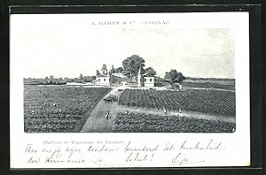 Ansichtskarte A. Hardy, Co - Cognac, Chateau et Vignonles du Droguet
