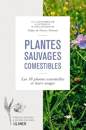 plantes sauvages comestibles