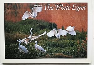 The White Egret