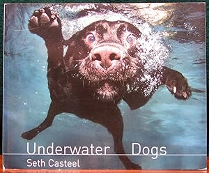 Image du vendeur pour UNDERWATER DOGS. mis en vente par The Antique Bookshop & Curios (ANZAAB)