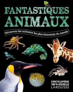 fantastiques animaux ; découvrez les animaux les plus étonnantes du monde !