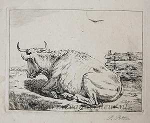 Seller image for [Original etching, ets] M. de Bye after P. Potter. Laying cow, published 1650-1700. for sale by Antiquariaat Arine van der Steur / ILAB