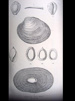 Proceedings of the California Academy of Sciences. Vol. 5. 1873-1874.