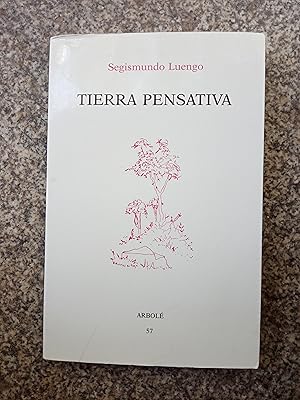 Tierra Pensativa